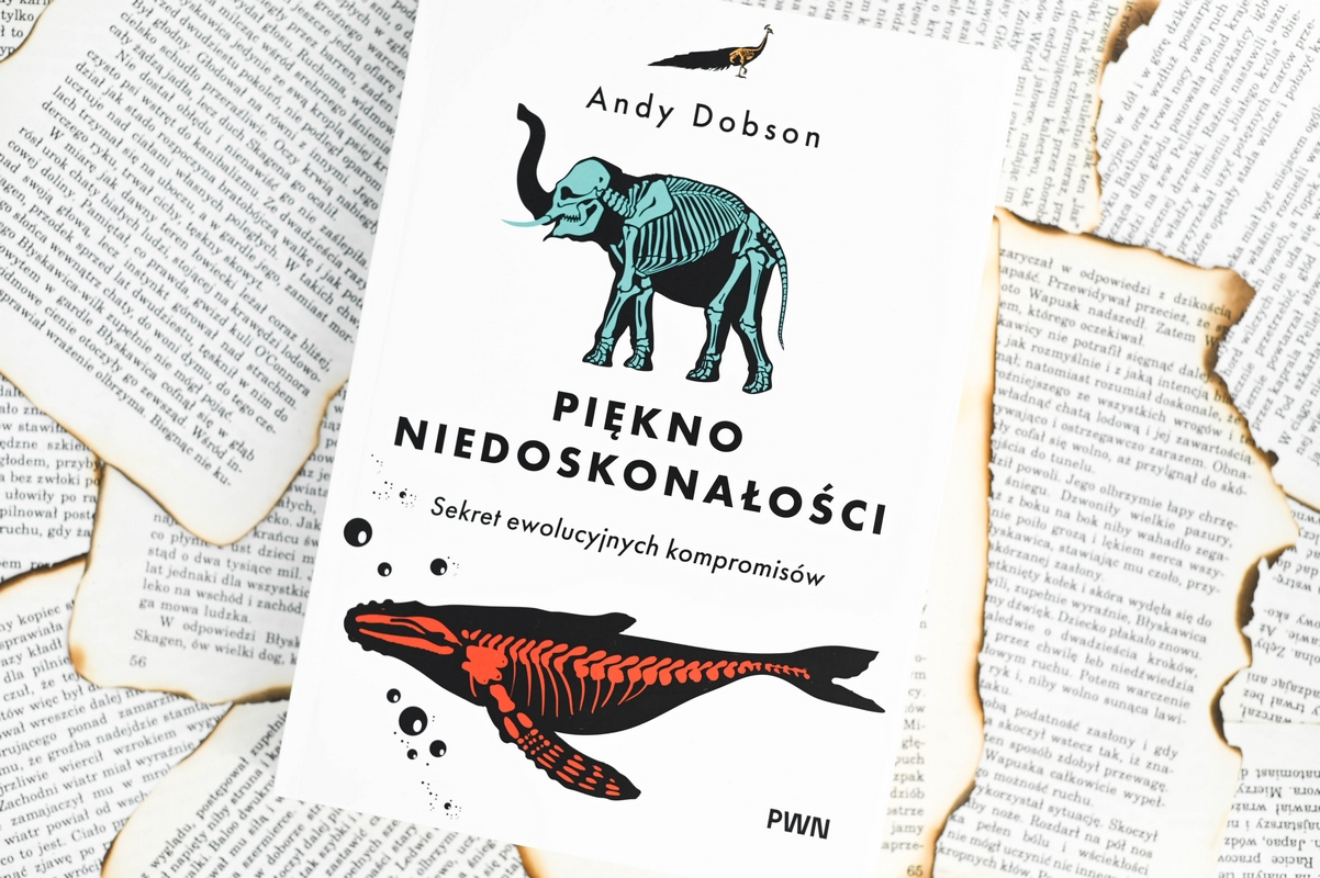 Recenzja książki “Piękno niedoskonałości. Sekret niedoskonałej ewolucji”